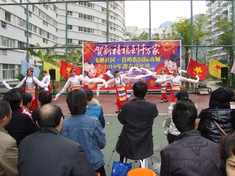 飛鵝社區(湖北省鄂州市鄂城區古樓街道下轄社區)