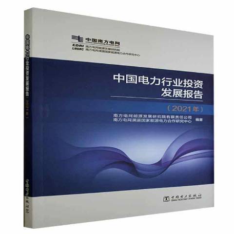 中國電力行業投資發展報告。2021年