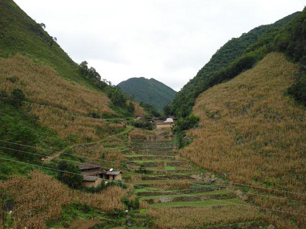 蘇麻地村