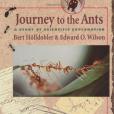 Journey to the Ants