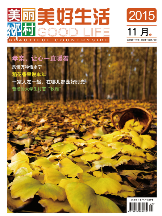 美麗鄉村雜誌