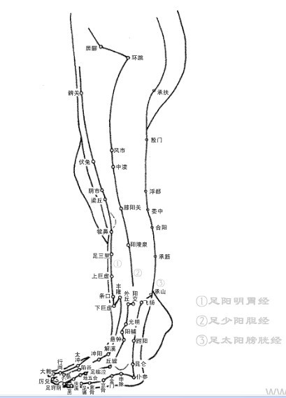 直腸穴