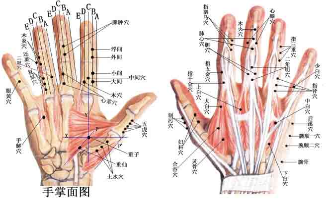 針灸手部穴位