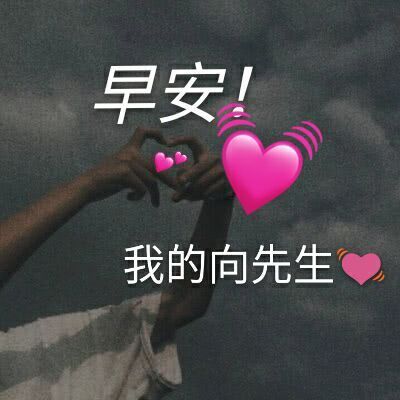 早安我的向先生