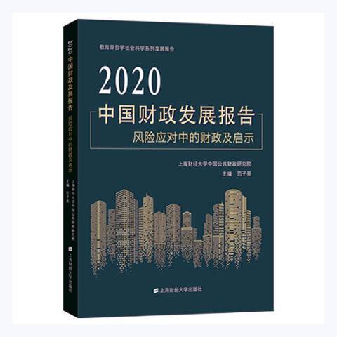 2020中國財政發展報告：風險應對中的財政及啟示