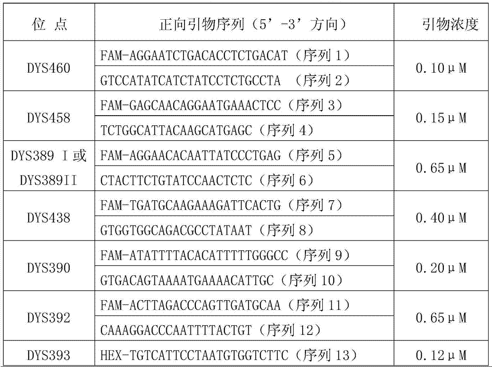 Y-STR螢光複合擴增檢驗試劑