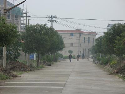 鄉村道路