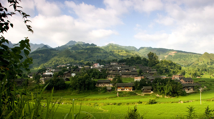 王司村(安徽省淮北市濉溪縣百善鎮王司村)