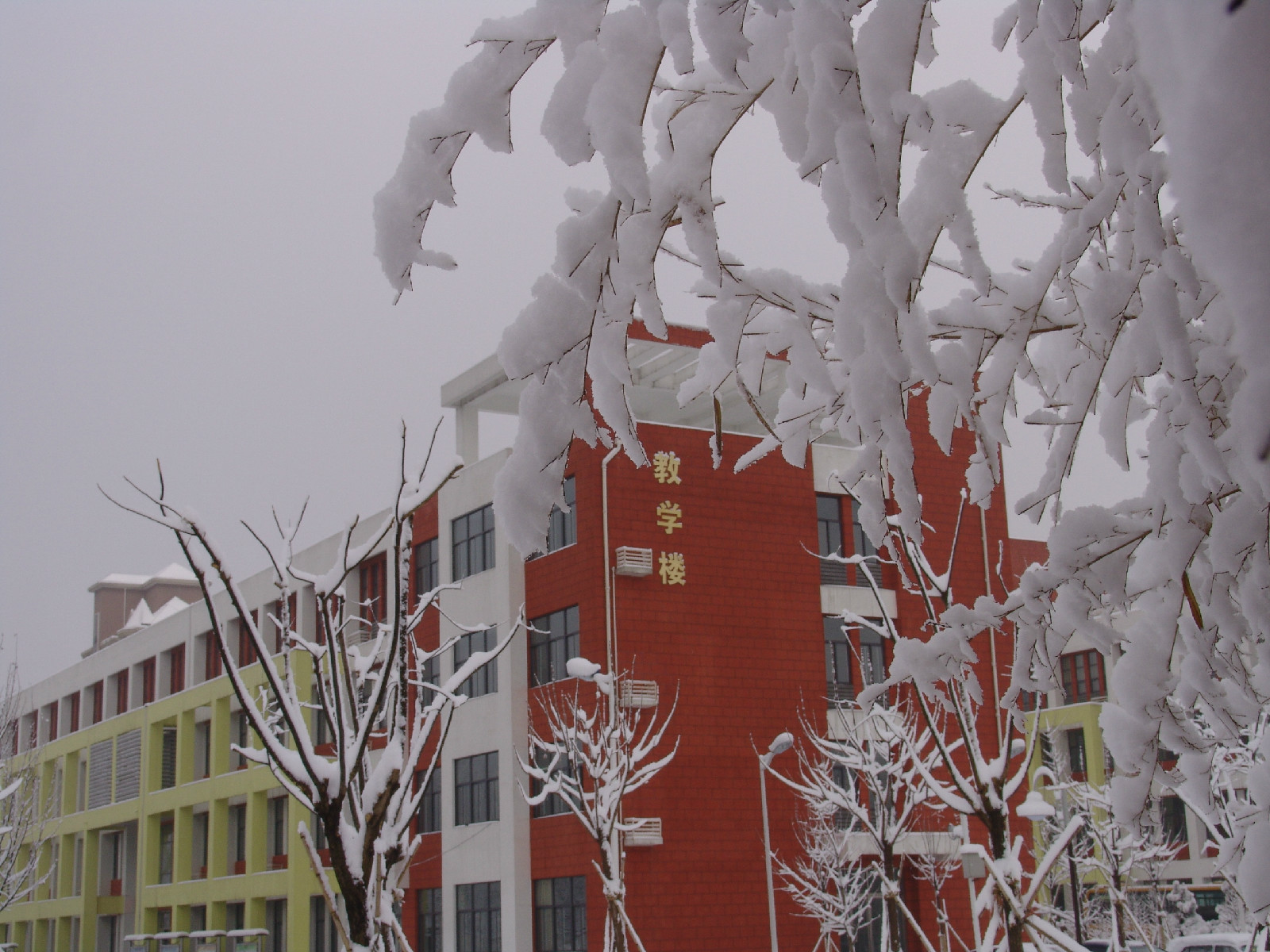 校園雪景