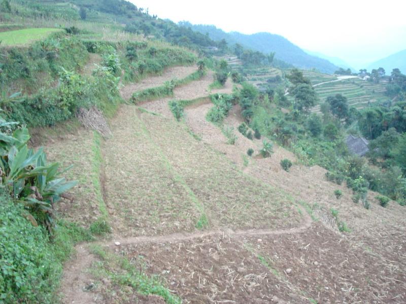 山頭自然村