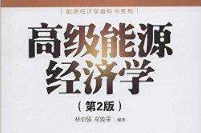 能源經濟學教科書系列：高級能源經濟學