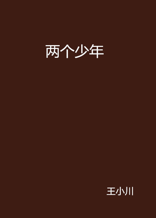 兩個少年(小說)