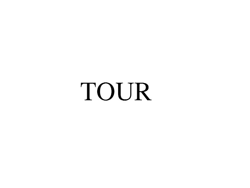 TOUR(巡迴演唱會)