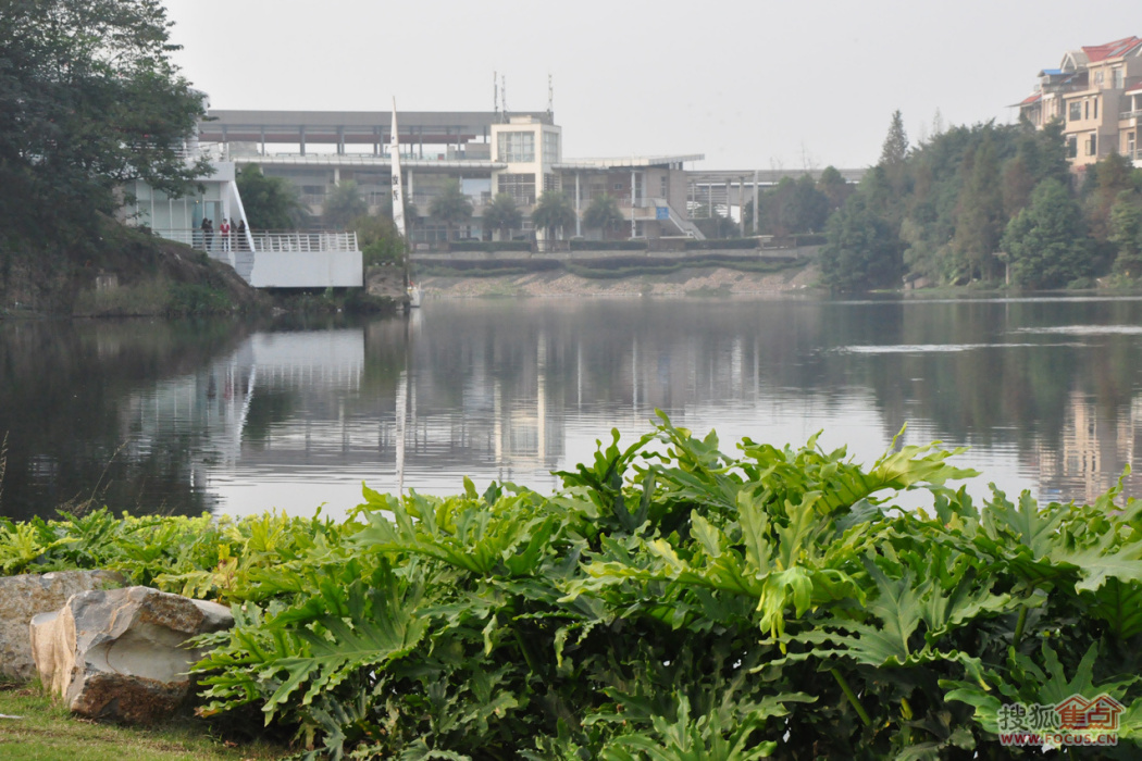 聯發瞰青湖光天地