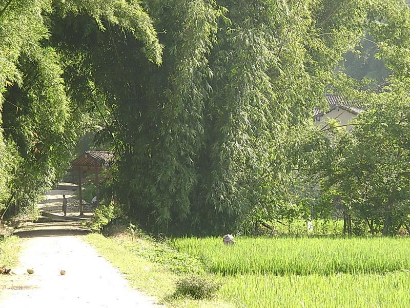 底養村