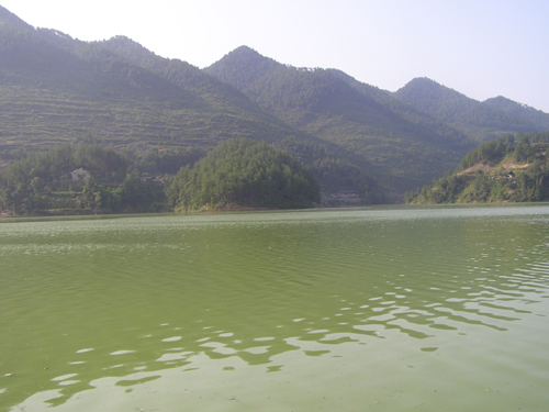 白鷺湖景區