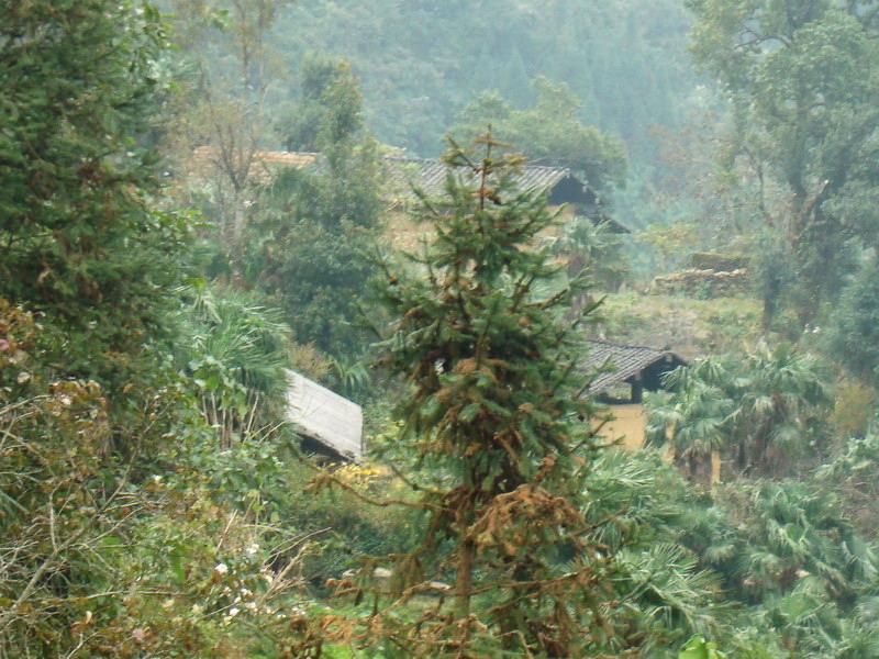 箐上自然村(雲南省紅河洲白河鄉箐上自然村)