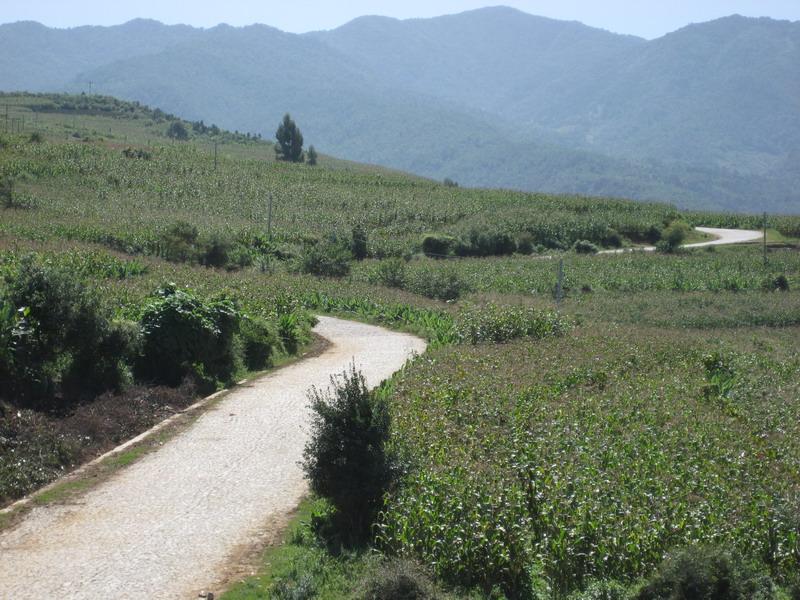 雞街子村