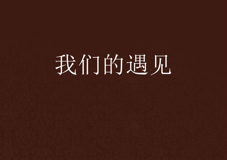 我們的遇見(小說)