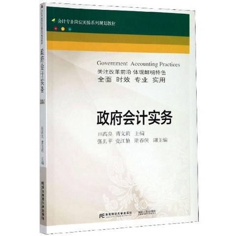 政府會計實務(2020年東北財經大學出版社出版的圖書)