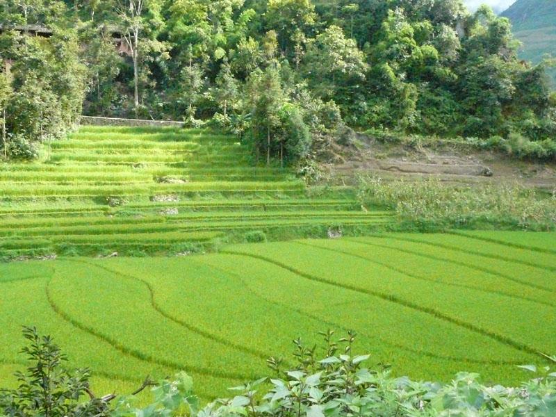 石坎頭自然村