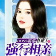 BOSS霸臨：強行相親100分