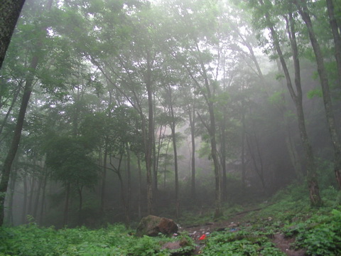 驛馬山