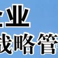 企業戰略管理(賴偉民教授主講課程)