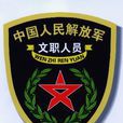 中國人民解放軍文職人員(文職人員)