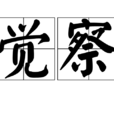 覺察(詞語)