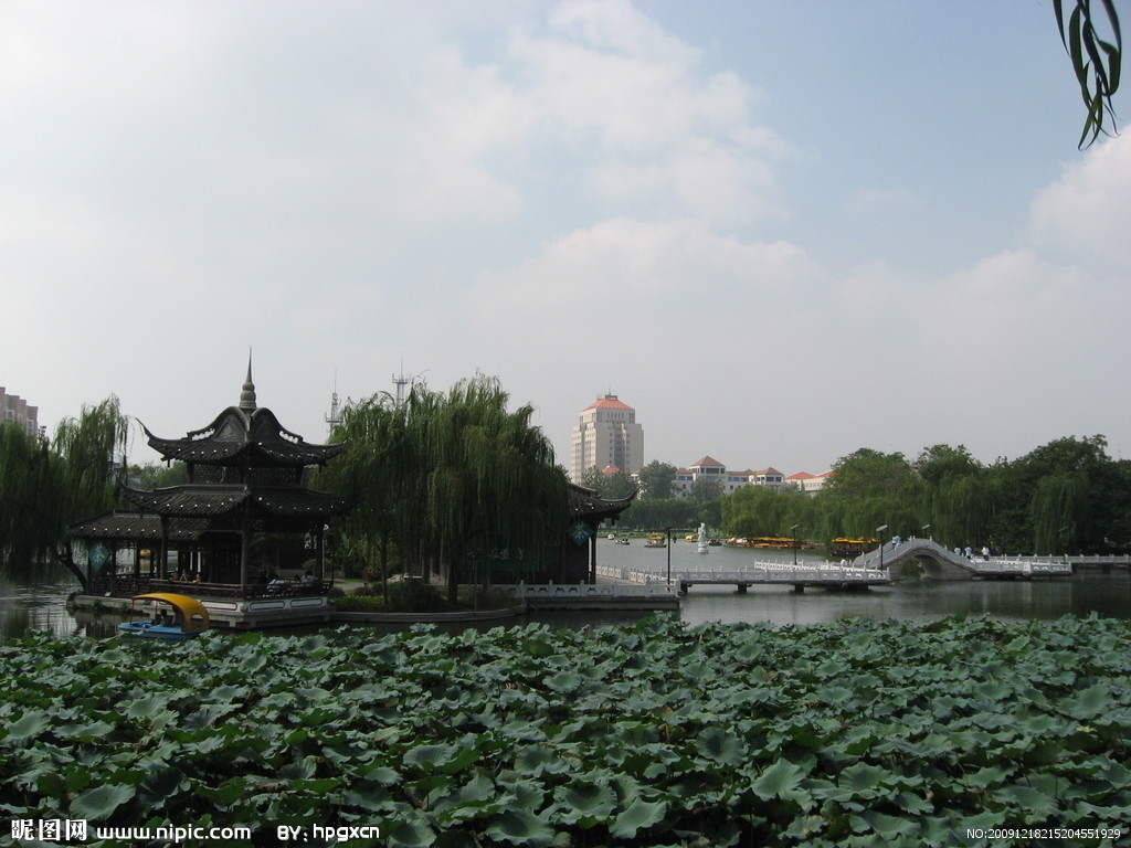 荷花池公園