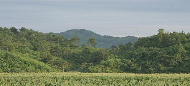 夏園行宮