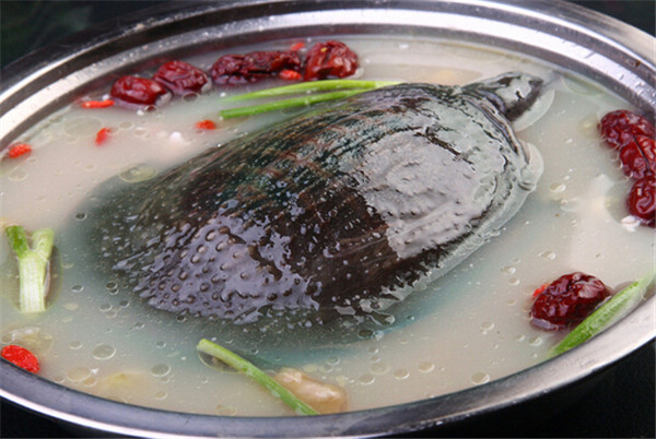 豬髓甲魚湯