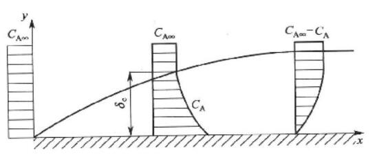 流體縱掠平板時的濃度邊界層