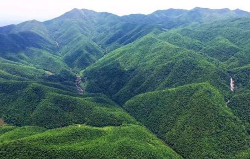 江西羅霄山大峽谷國家森林公園