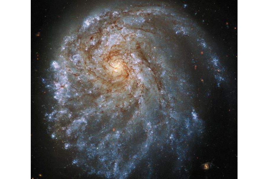 NGC2276