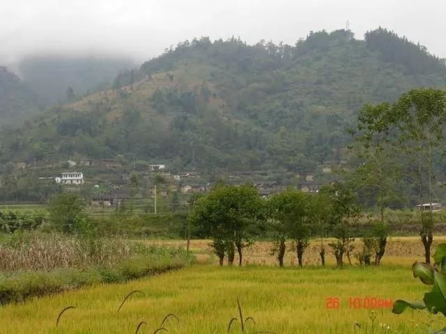 陳家寨村(雲南省箇舊市卡房鎮田心村委會陳家寨村)