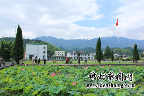 橋頭中學(湖南省郴州市桂東縣橋頭中學)