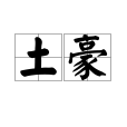 土豪(漢語詞語)