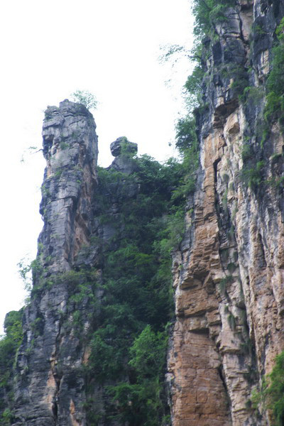 靈芝峰