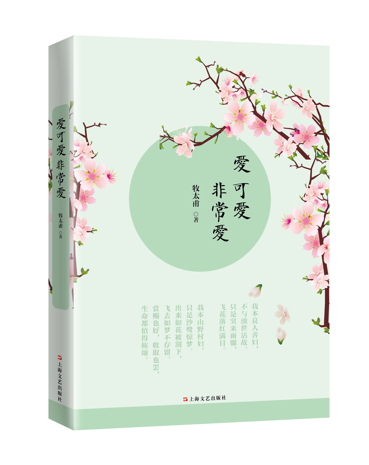 愛可愛非常愛(牧太甫的長篇小說，上海文藝出版社出版)