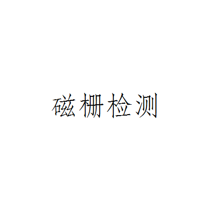 磁柵檢測