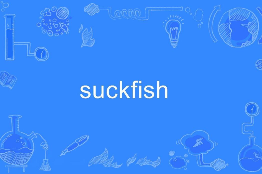 suckfish