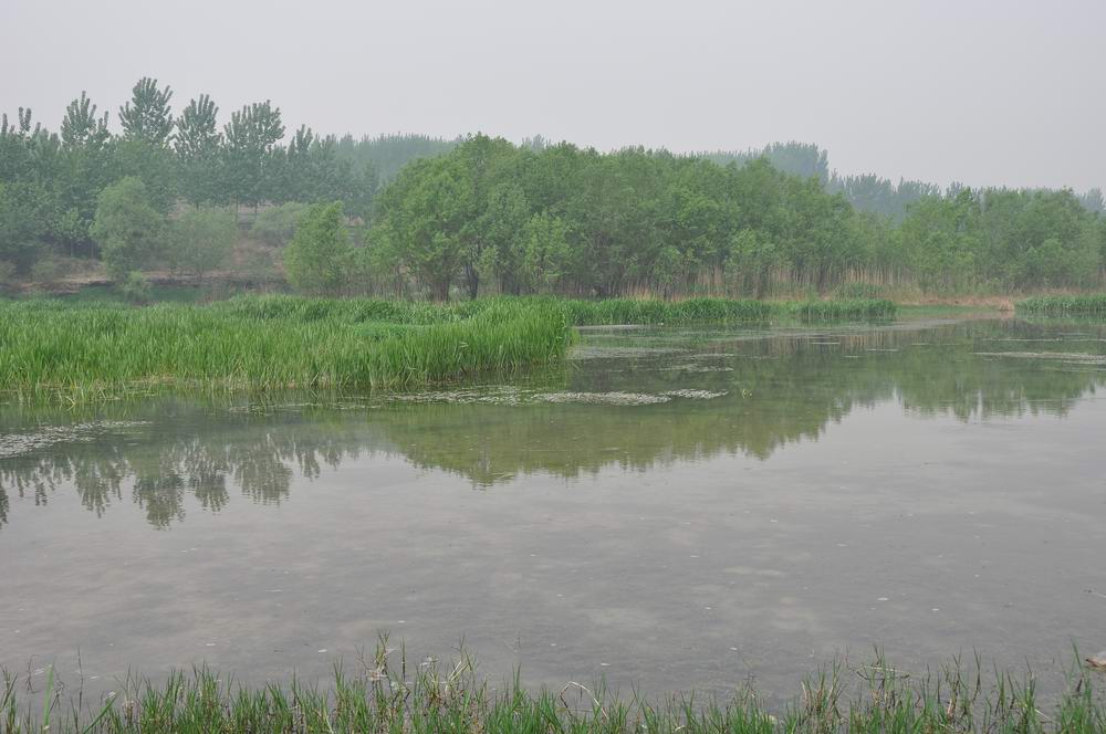 淇河國家濕地公園