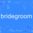 bridegroom