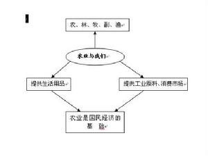 基礎產業