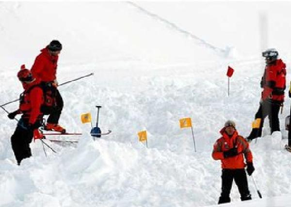 2·24阿爾卑斯山雪崩事件