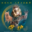 國家重點保護野生動物名錄(國家II級保護動物)