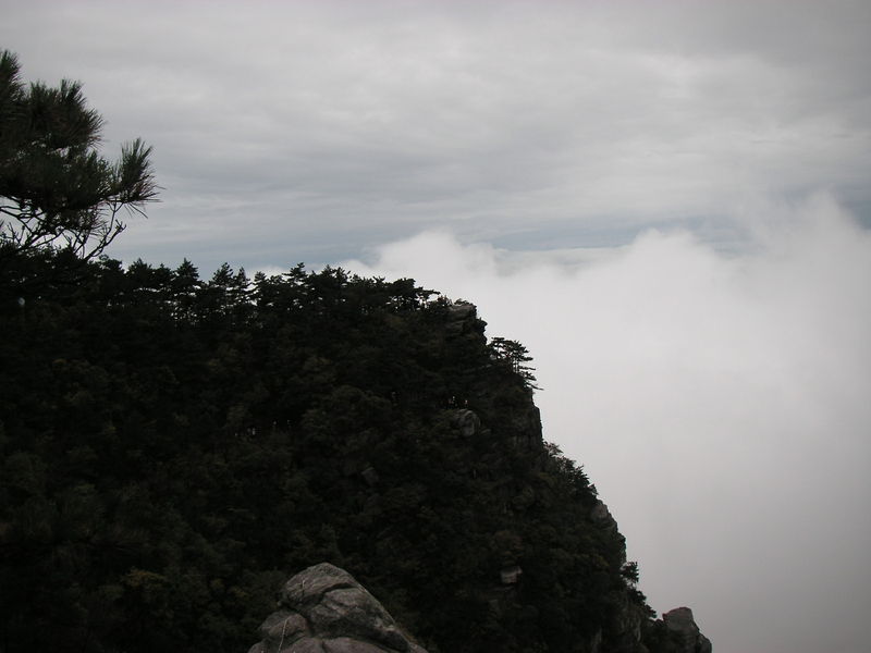 雲海