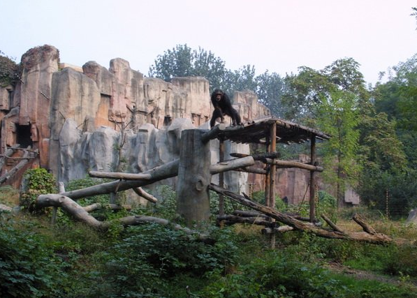 丰容(動物園術語)